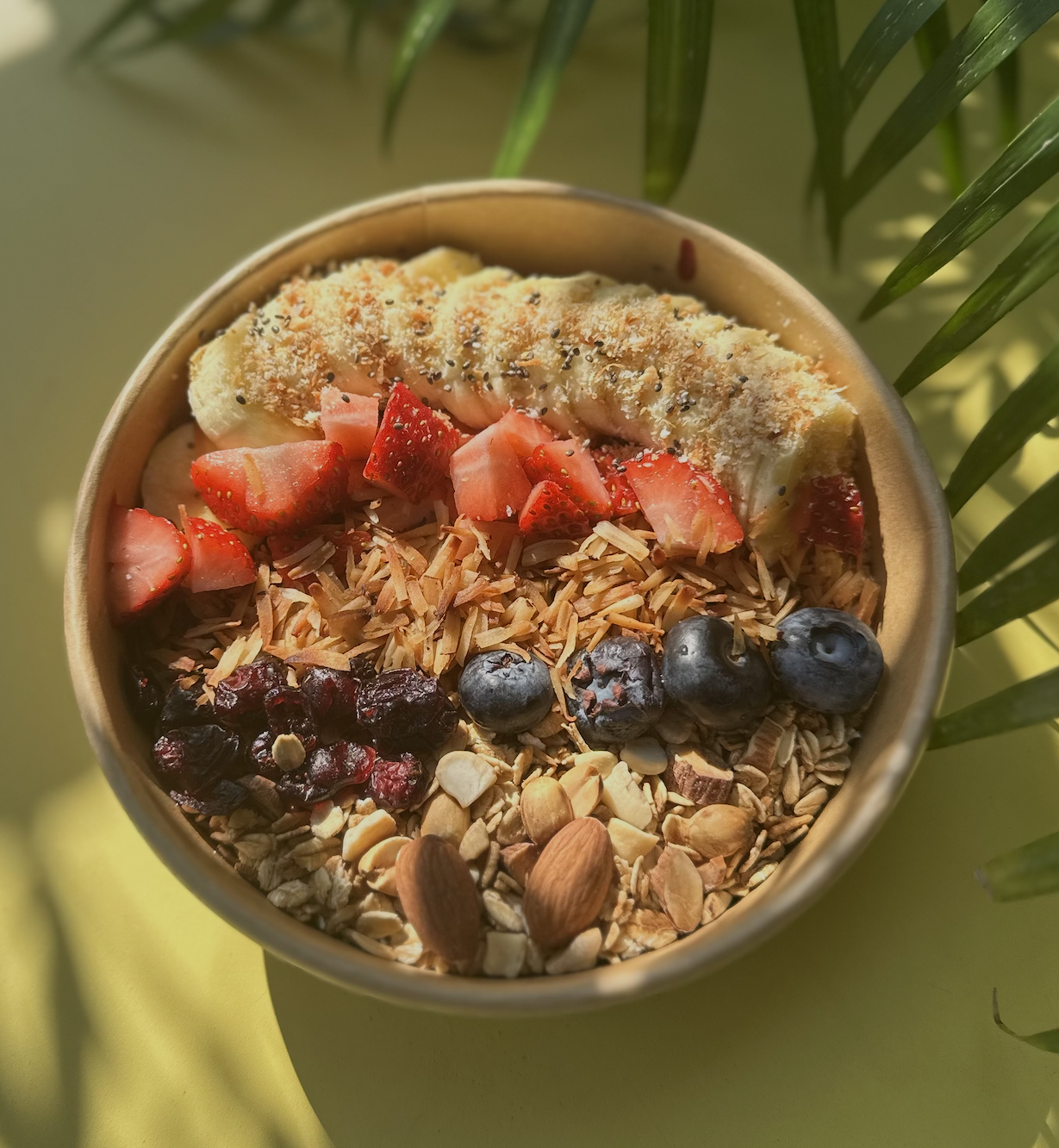 Coconut Crunch