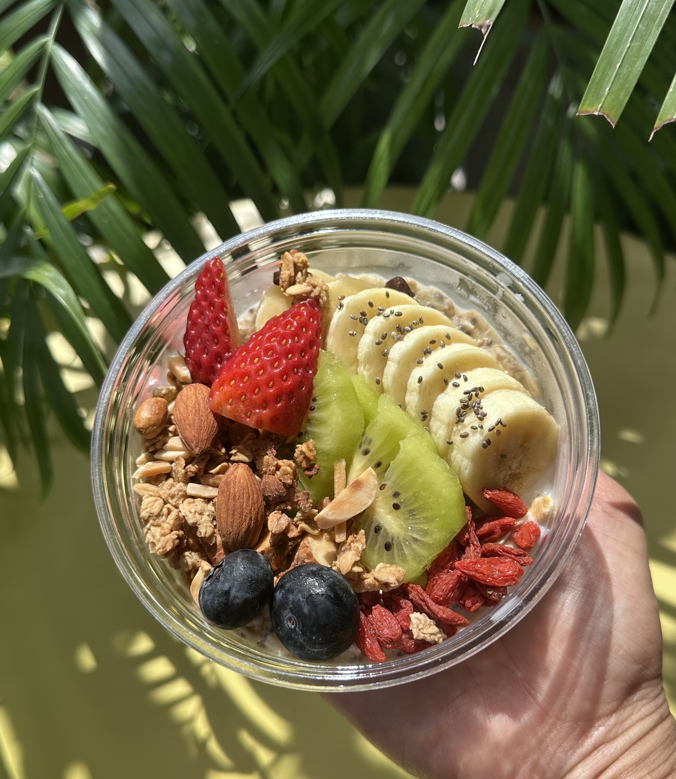 Goji Berry