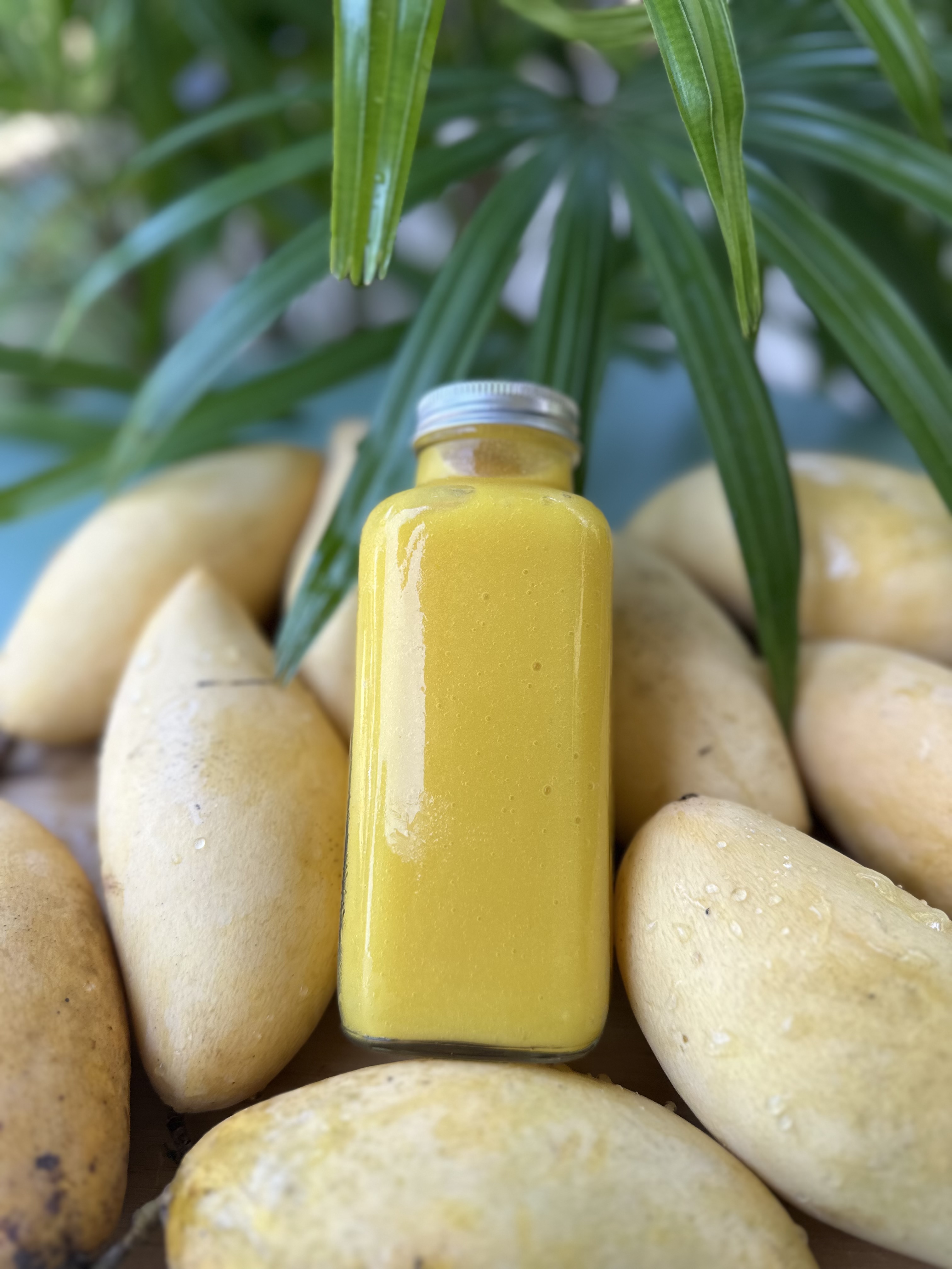 Tropical Turmeric